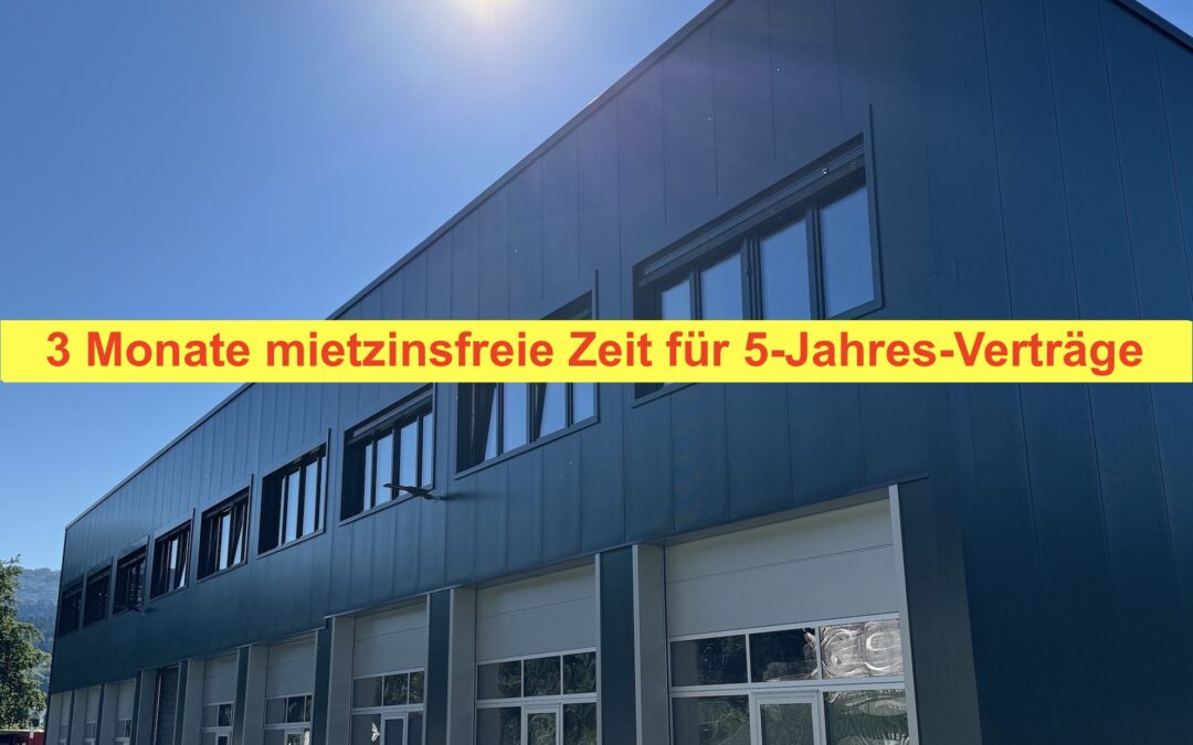 Neubauprojekt Gewerbeboxen zu vermieten (80% vermietet)